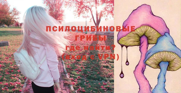 не бодяженный Аркадак