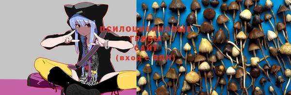 не бодяженный Аркадак